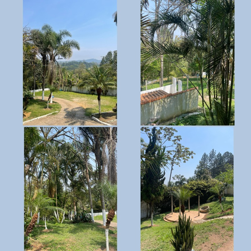 Jardim e área externa arborizada
