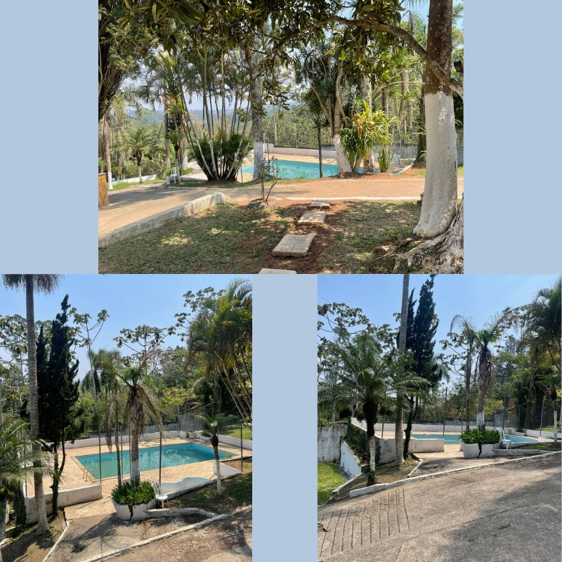 Vista da piscina cercada por palmeiras